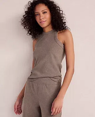 Ann Taylor Haven Well Within Organic Cotton Rib Knit High Neck Tank In Brown