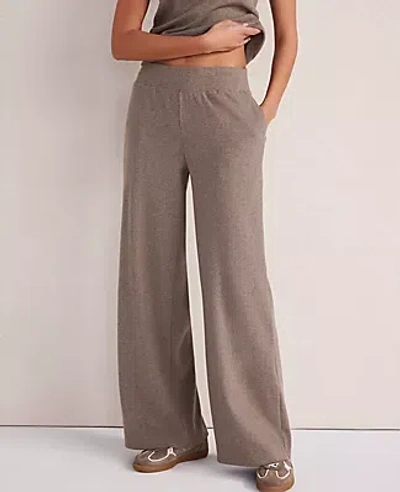 Ann Taylor Haven Well Within Organic Cotton Rib Knit Wide Leg Pants In Brown