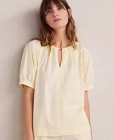 Ann Taylor Haven Well Within Organic Cotton Twill Split Neck Top In Brown