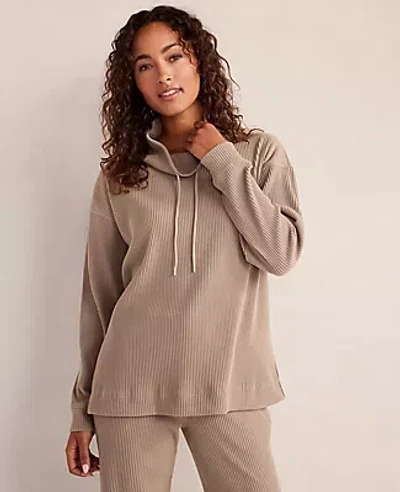 Ann Taylor Haven Well Within Ottoman Rib Cowl Neck Top In Neutral