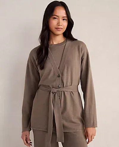 Ann Taylor Haven Well Within Relaxed Jersey Cardigan In Brown