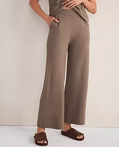 Ann Taylor Haven Well Within Relaxed Jersey Wide Leg Pants In Brown