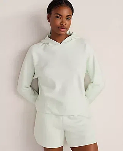 Ann Taylor Haven Well Within Soft Knit Pleated Hoodie In White