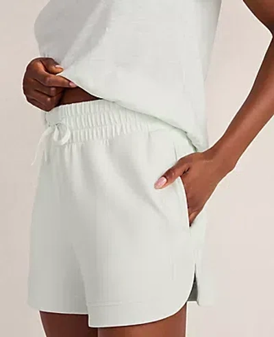 Ann Taylor Haven Well Within Soft Knit Shorts In White