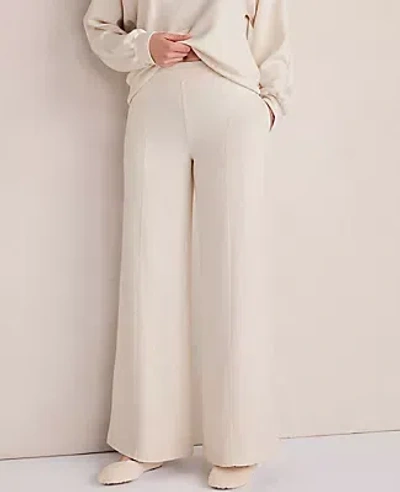 Ann Taylor Haven Well Within Soft Knit Wide Leg Pants In Brown