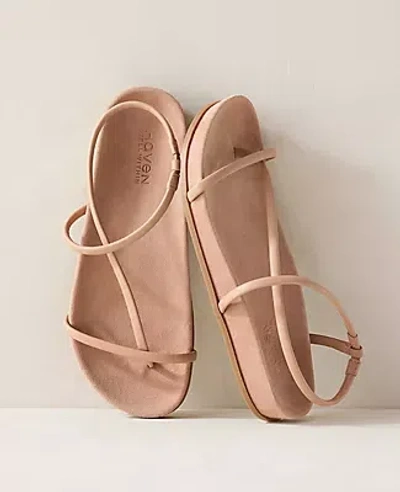 Ann Taylor Haven Well Within Strappy Leather Molded Sandals In Brown