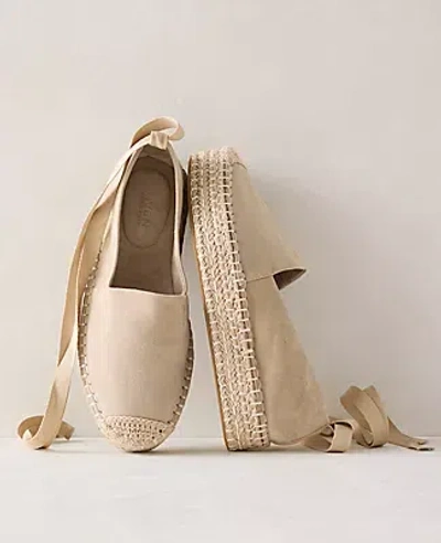 Ann Taylor Haven Well Within Suede Espadrilles In Neutral