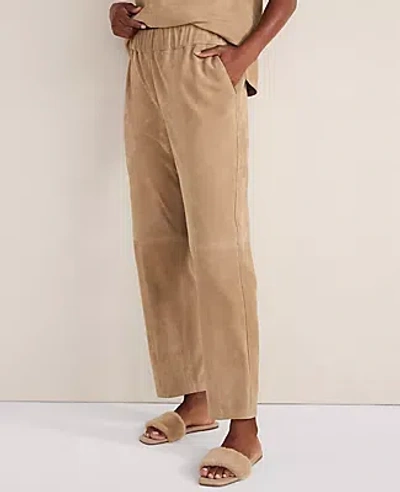 Ann Taylor Haven Well Within Suede Pants In Brown