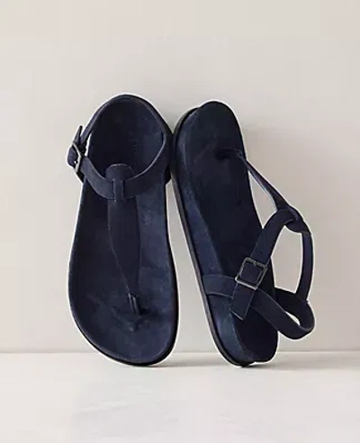 Ann Taylor Haven Well Within Suede Thong Sandals In Blue