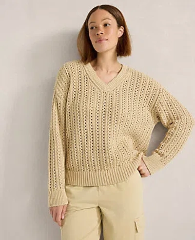 Ann Taylor Haven Well Within Textured Cotton Blend V-neck Sweater In Cortado