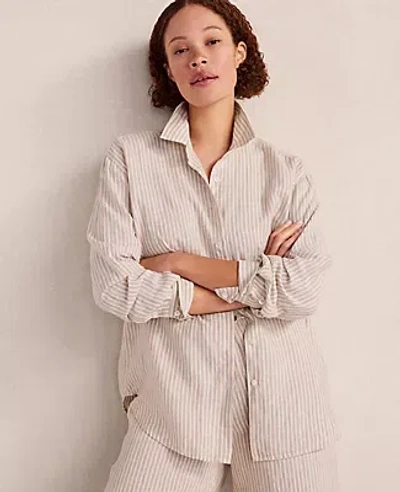 Ann Taylor Haven Well Within The Daily Shirt In Neutral