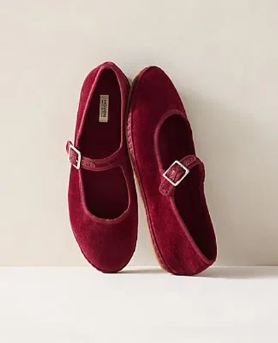 Ann Taylor Haven Well Within Velvet Mary Jane Ballet Flats In Deep Merlot