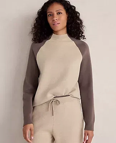 Ann Taylor Haven Well Within Viscose Blend Colorblock Crewneck In Multi