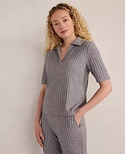 Ann Taylor Haven Well Within Wide Rib Knit Johnny Collar Top In Gray