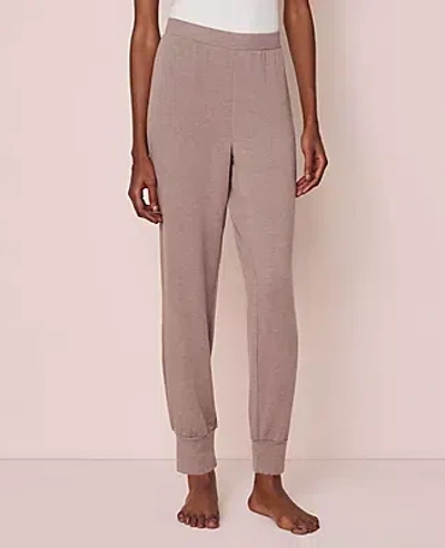 Ann Taylor Jogger Lounge Pant In Neutral