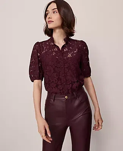 Ann Taylor Lace Blouse In Purple