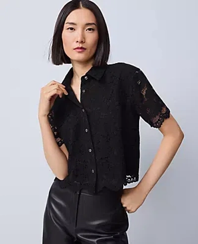Ann Taylor Lace Modern Blouse In Black