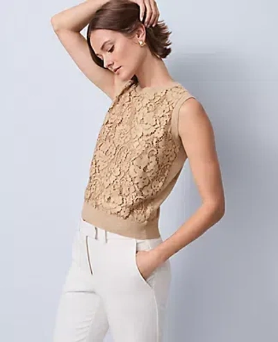 Ann Taylor Lace Sweater Shell Top