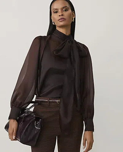 Ann Taylor Lace Trim Bow Blouse In Brown