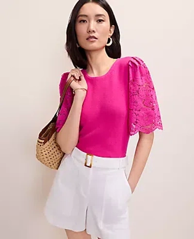 Ann Taylor Lace Trimmed Sweater Top