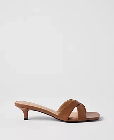 Ann Taylor Leather Crossover Kitten Heel Sandal In Brown