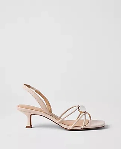 Ann Taylor Leather Embellished Kitten Heel Sandal In Neutral