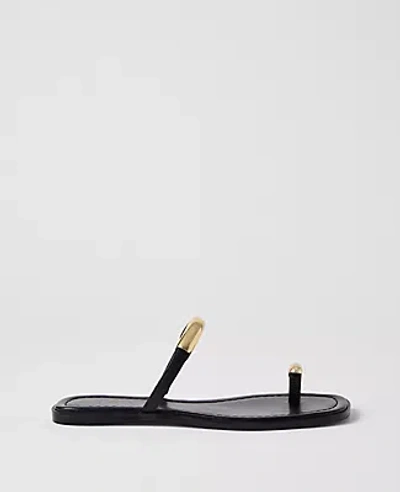 Ann Taylor Leather Embellished Sandal In Black