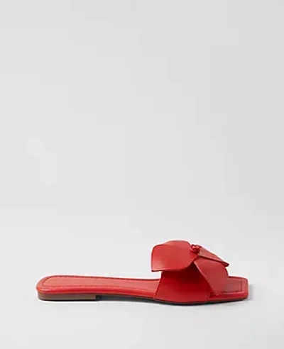 Ann Taylor Leather Flower Flat Sandals In Red Pepper