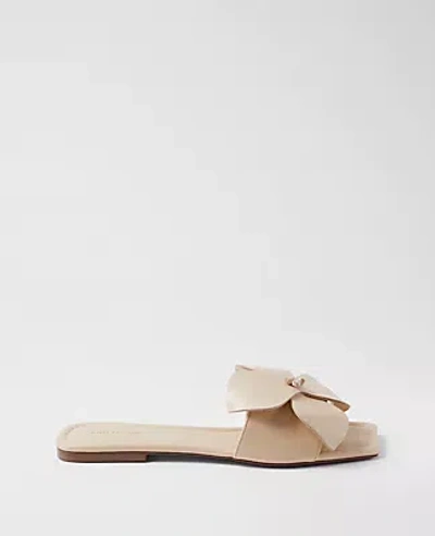 Ann Taylor Leather Flower Flat Sandals In Sands Edge
