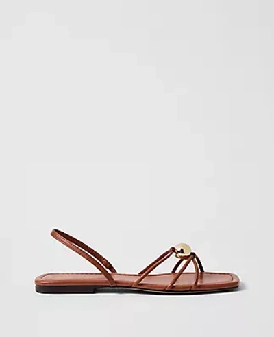 Ann Taylor Leather Hardware Embellished Sandal In Brown