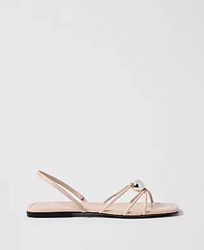Ann Taylor Leather Hardware Embellished Sandal In Neutral