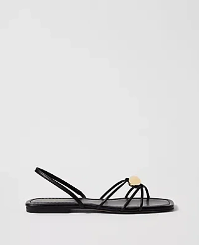 Ann Taylor Leather Hardware Embellished Sandal In Black