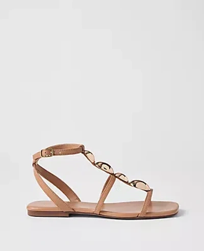 Ann Taylor Leather Hardware Embellished Sandal In Brown