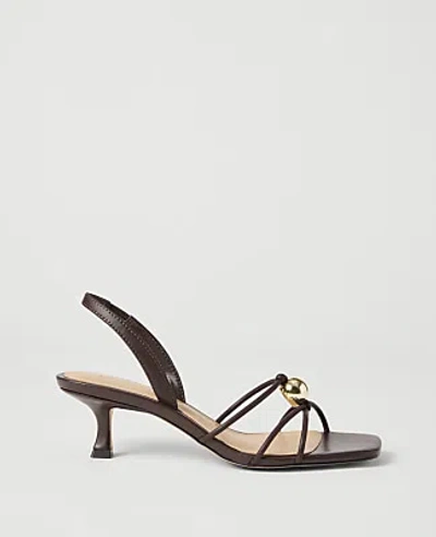 Ann Taylor Leather Heel Sandal In Pure Chocolate