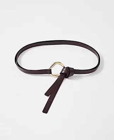 Ann Taylor Leather Knot Belt In Brown