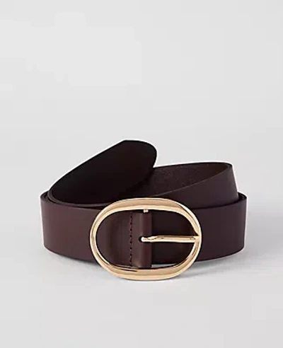 Ann Taylor Leather Oval Buckle Belt In Brown