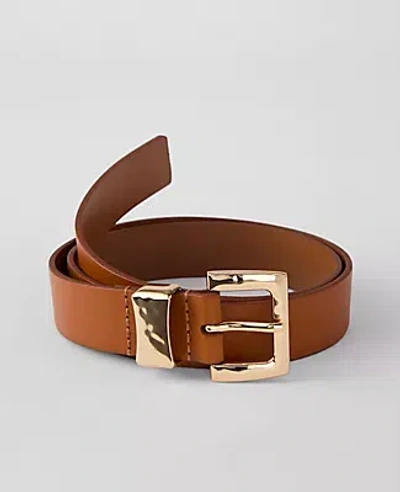 Ann Taylor Leather Textured Square Buckle Belt In Brown