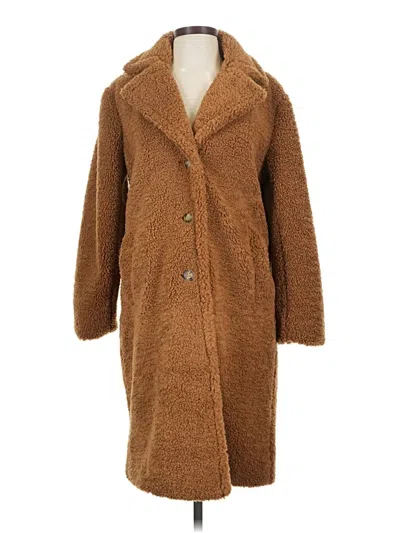 Ann Taylor Loft Coat In Brown