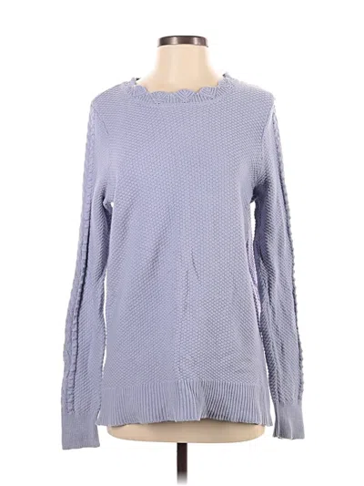 Pre-owned Ann Taylor Loft Pullover Sweater In Blue