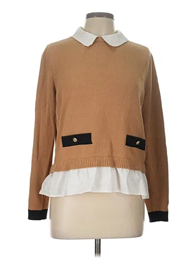 Pre-owned Ann Taylor Loft Pullover Sweater In Brown