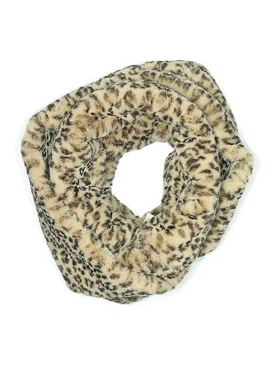 Pre-owned Ann Taylor Loft Scarf In Brown
