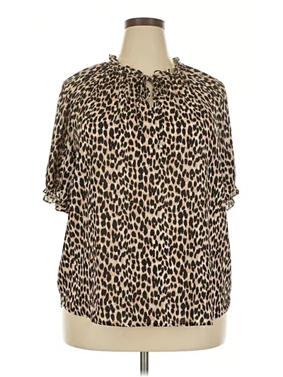 Ann Taylor Loft Short Sleeve Blouse In Brown