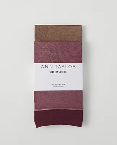 Ann Taylor Mesh Ankle Sock Set In French Mocha
