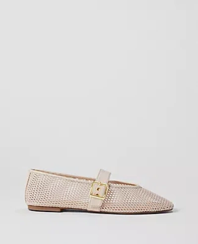 Ann Taylor Mesh Buckled Ballet Flats In Pearl Shadow