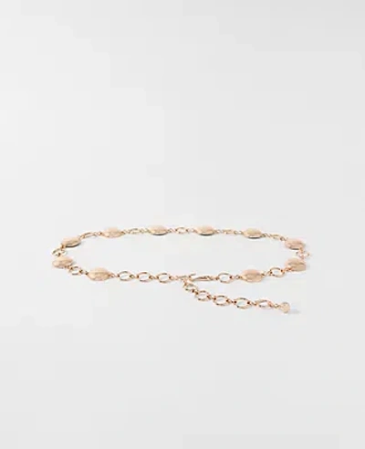 Ann Taylor Metal Chain Belt In Gold
