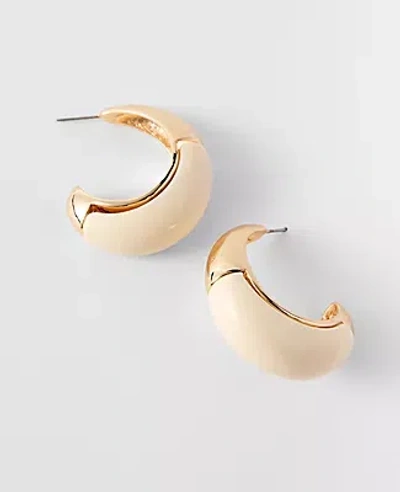 Ann Taylor Metal Enamel Hoop Earrings