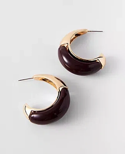 Ann Taylor Metal Enamel Hoop Earrings