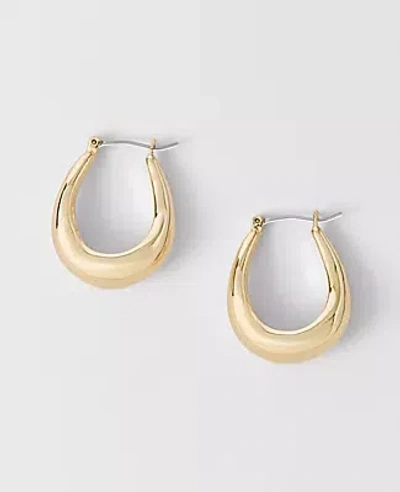 Ann Taylor Metal Hoop Earrings In Gold