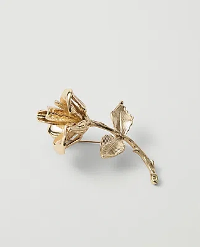 Ann Taylor Metal Rose Brooch In Gold