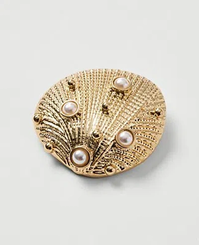 Ann Taylor Metal Shell Brooch In Goldtone